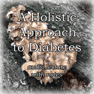 a holistic approach to diabetes