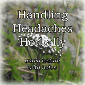 handling headaches herbally