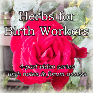 herbs for birth workers
