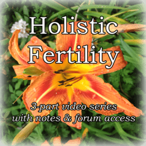 holistic fertility
