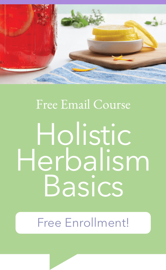 Free Course : Holistic Herbalism Basics · CommonWealth Holistic Herbalism