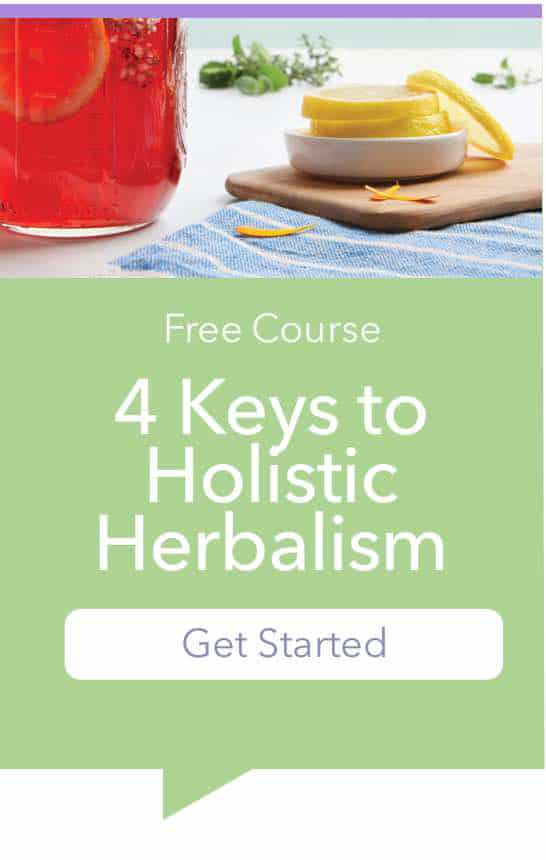 4 Keys to Holistic Herbalism Button r