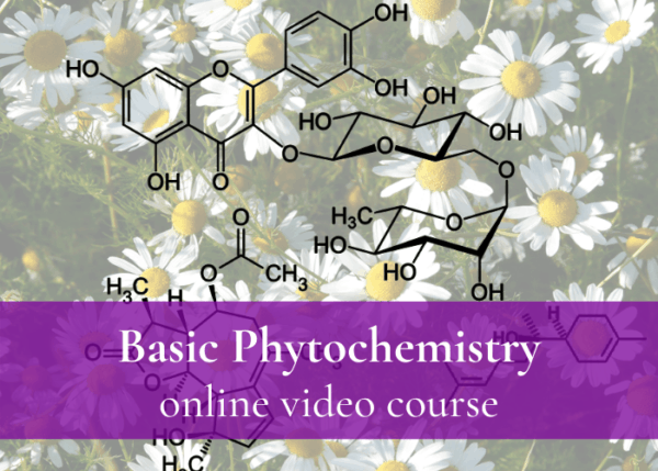 Basic-Phytochem 5 Basic Phytochem