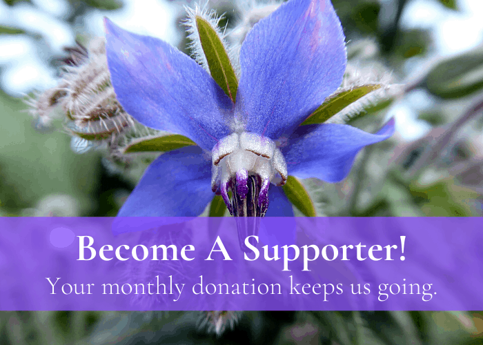 Become A Supporter