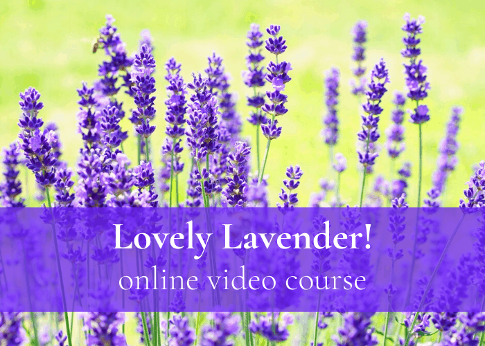 Lavender course