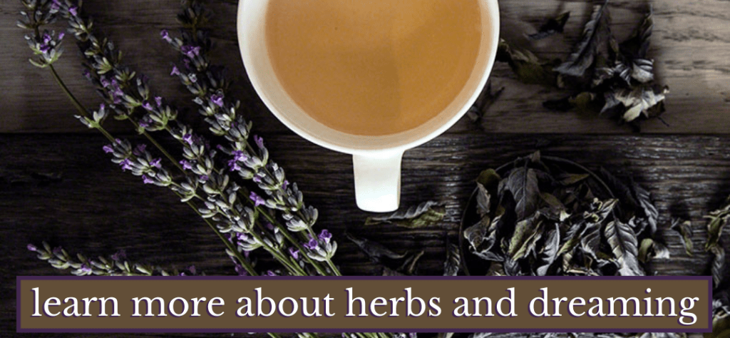 teacup herbsdreaming