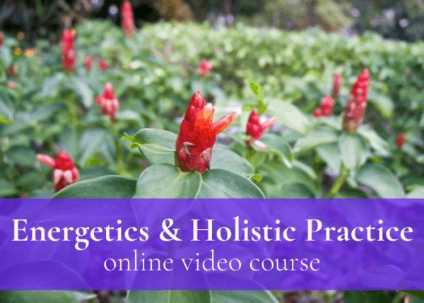 Energetics Holistic Practice
