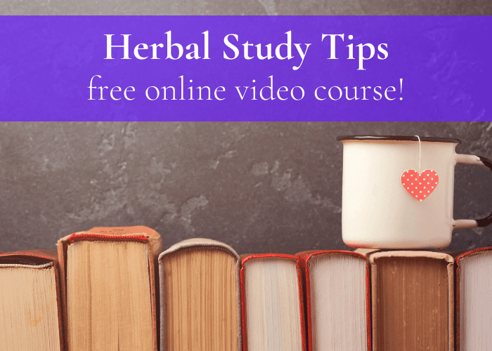 Herbal Study Tips
