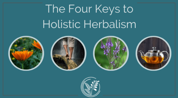 Four Keys to Holistic Herbalism