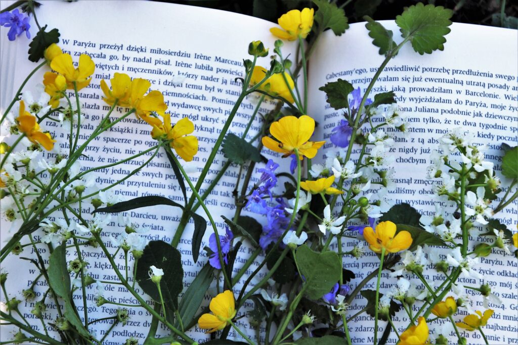 photo of wildflowers lying on a book