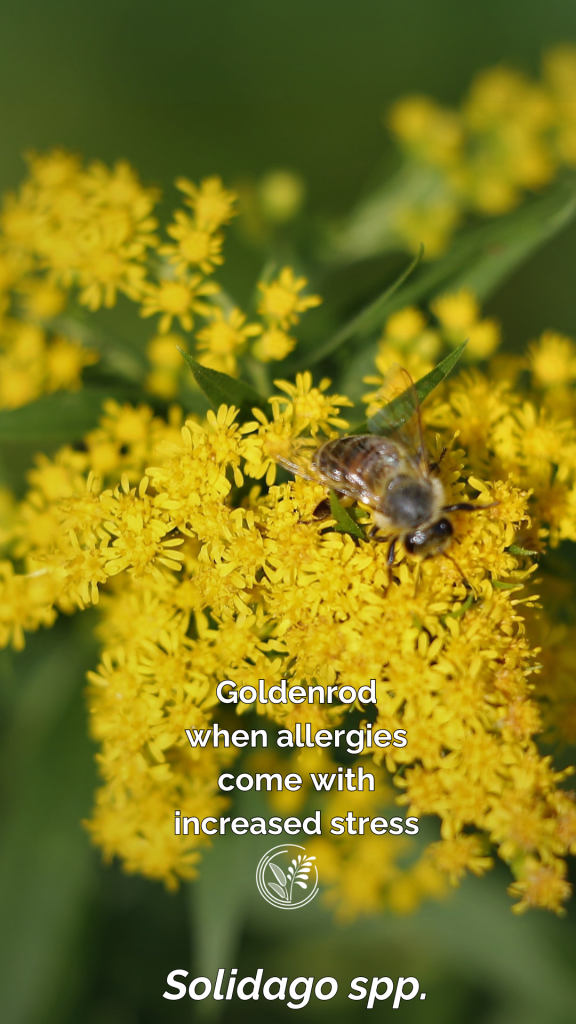 goldenrod phone wallpaper