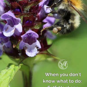 selfheal phone small